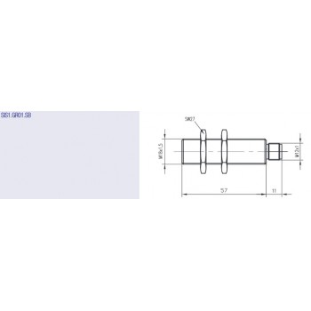 SIS IDG Inductief Standaard